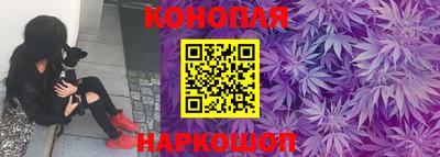 прущие крисы Краснознаменск